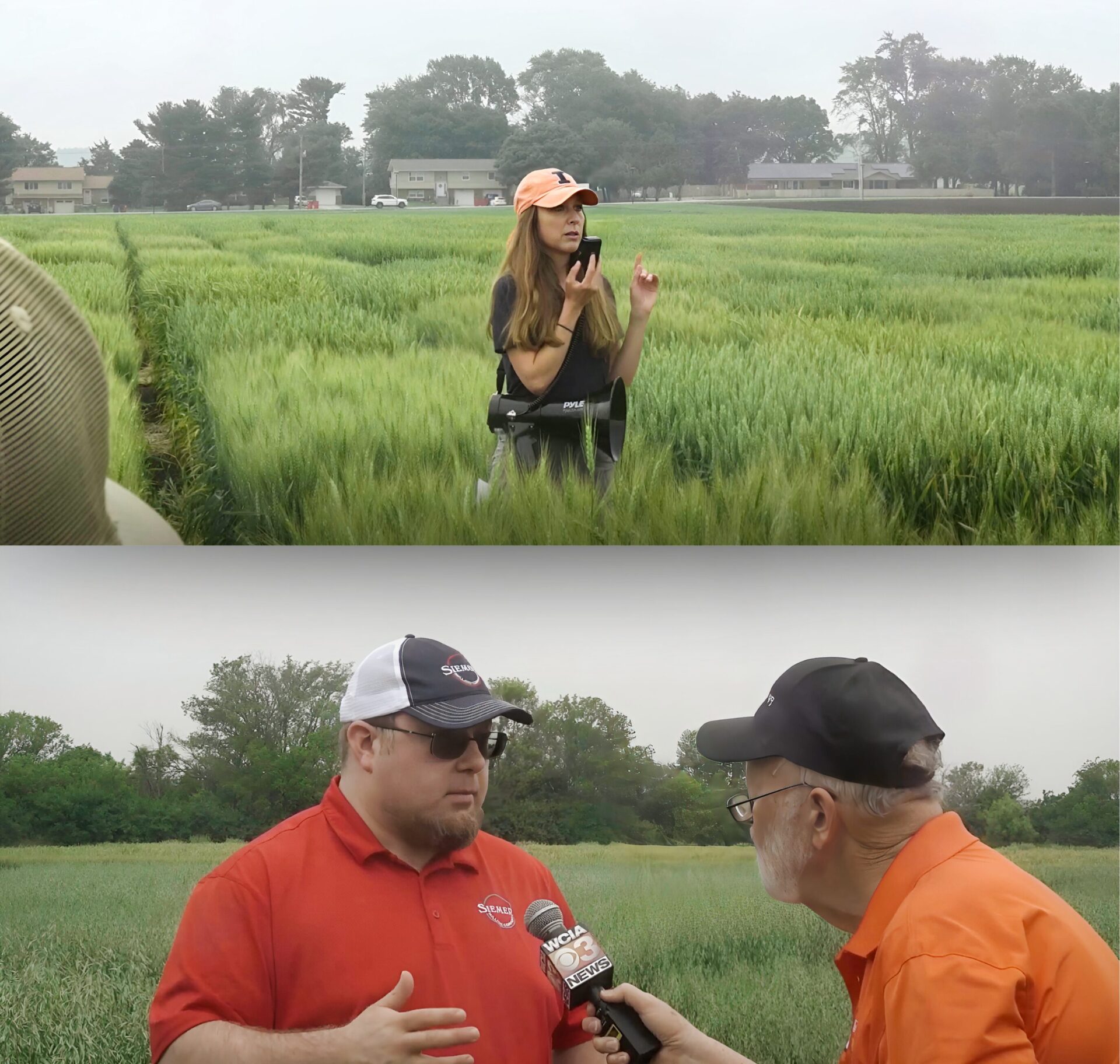 Partnering for Progress: Siemer Milling’s Investment in Wheat Research at the University of Illinois