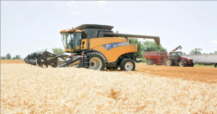 Winter Wheat Harvest