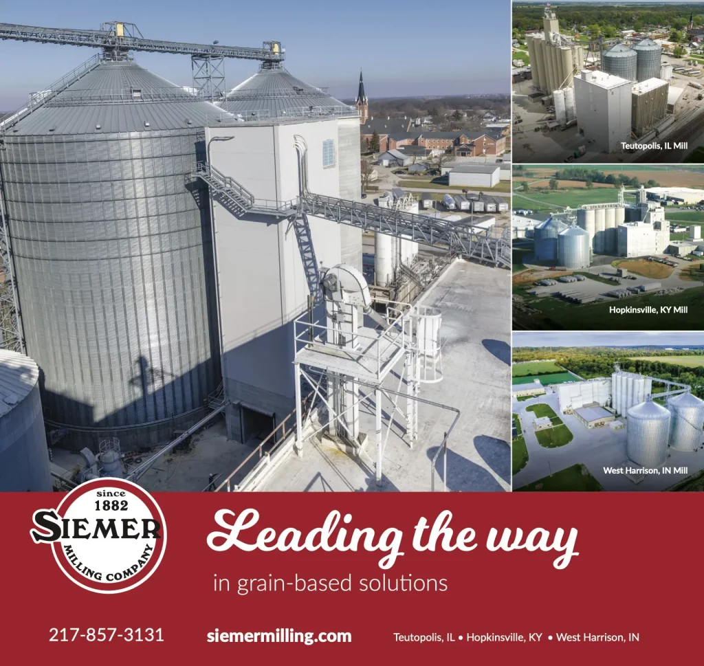 Leading the Way in Grain Based Solutions
