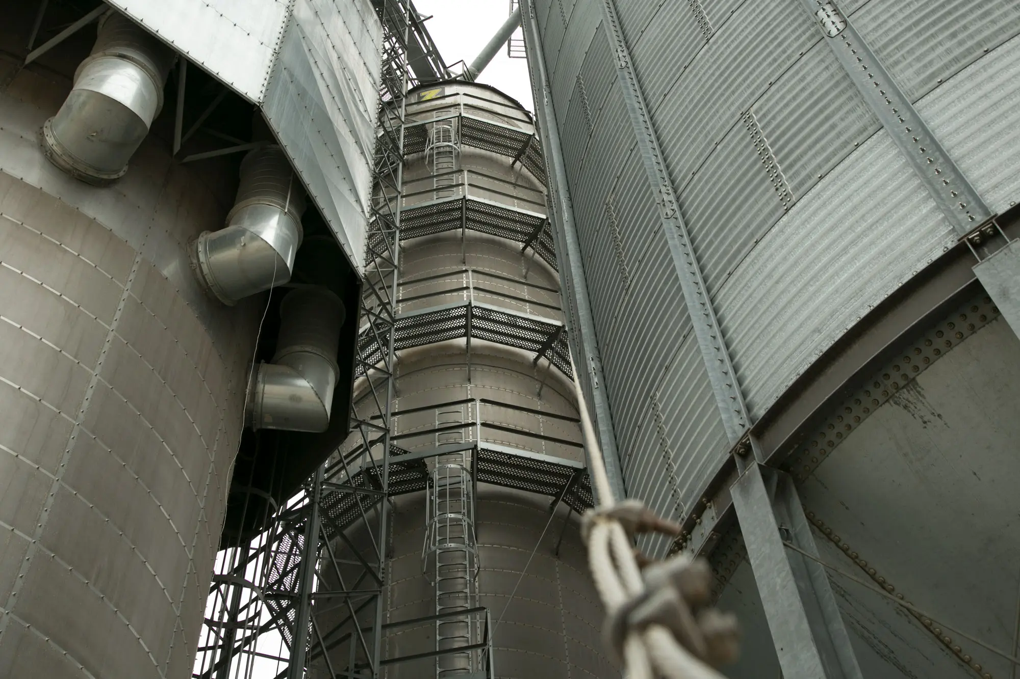 Drying Wheat