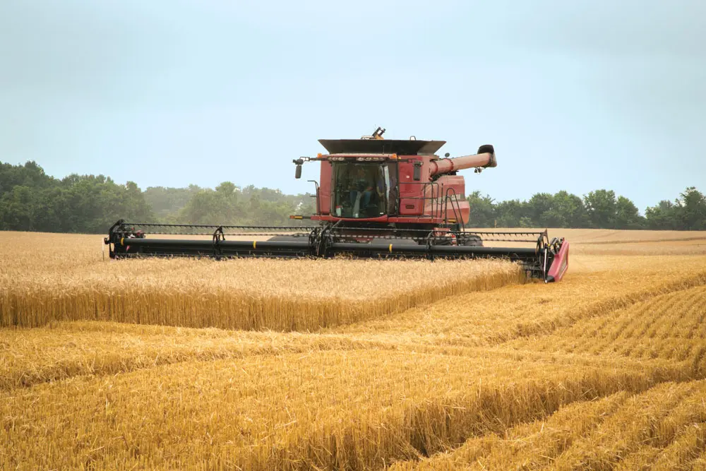 Combine Harvesting a Field