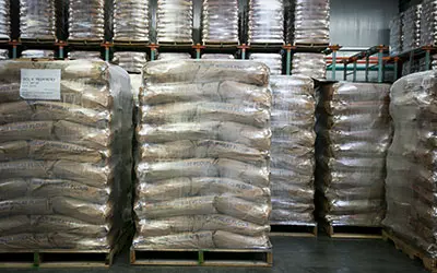 Bulk Flour Supplier