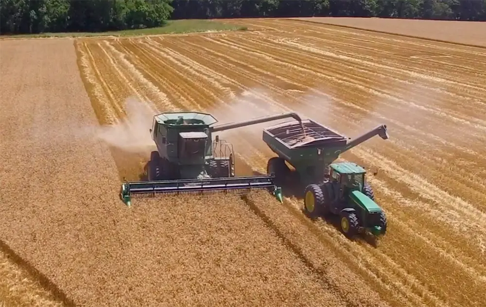 Wheat Field during Harvest