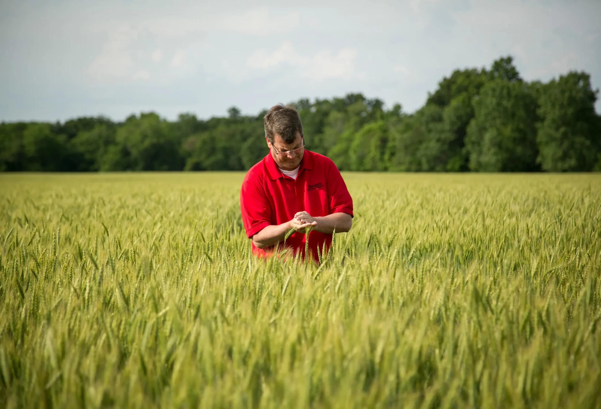 Siemer Milling Employee in Wheat Field