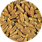 Durum Wheat