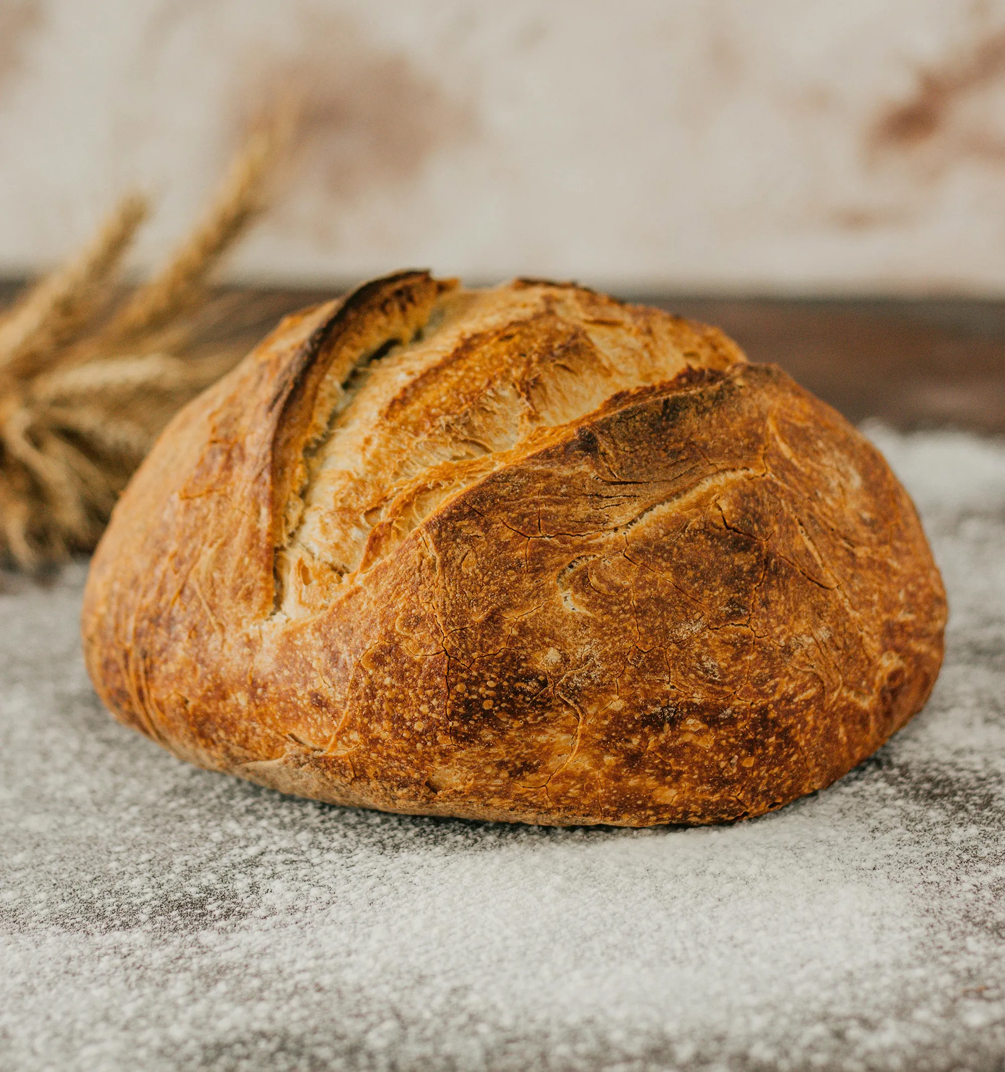 Bread made with Hard Wheat Flour
